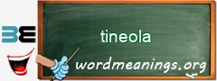 WordMeaning blackboard for tineola